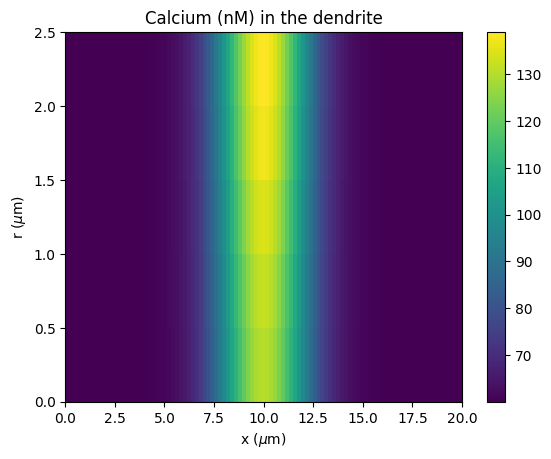 ../_images/rxd-tutorials_radial_diffusion_12_2.png